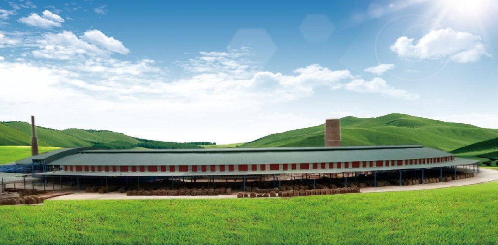 越南老街11.8m移動式隧道窯