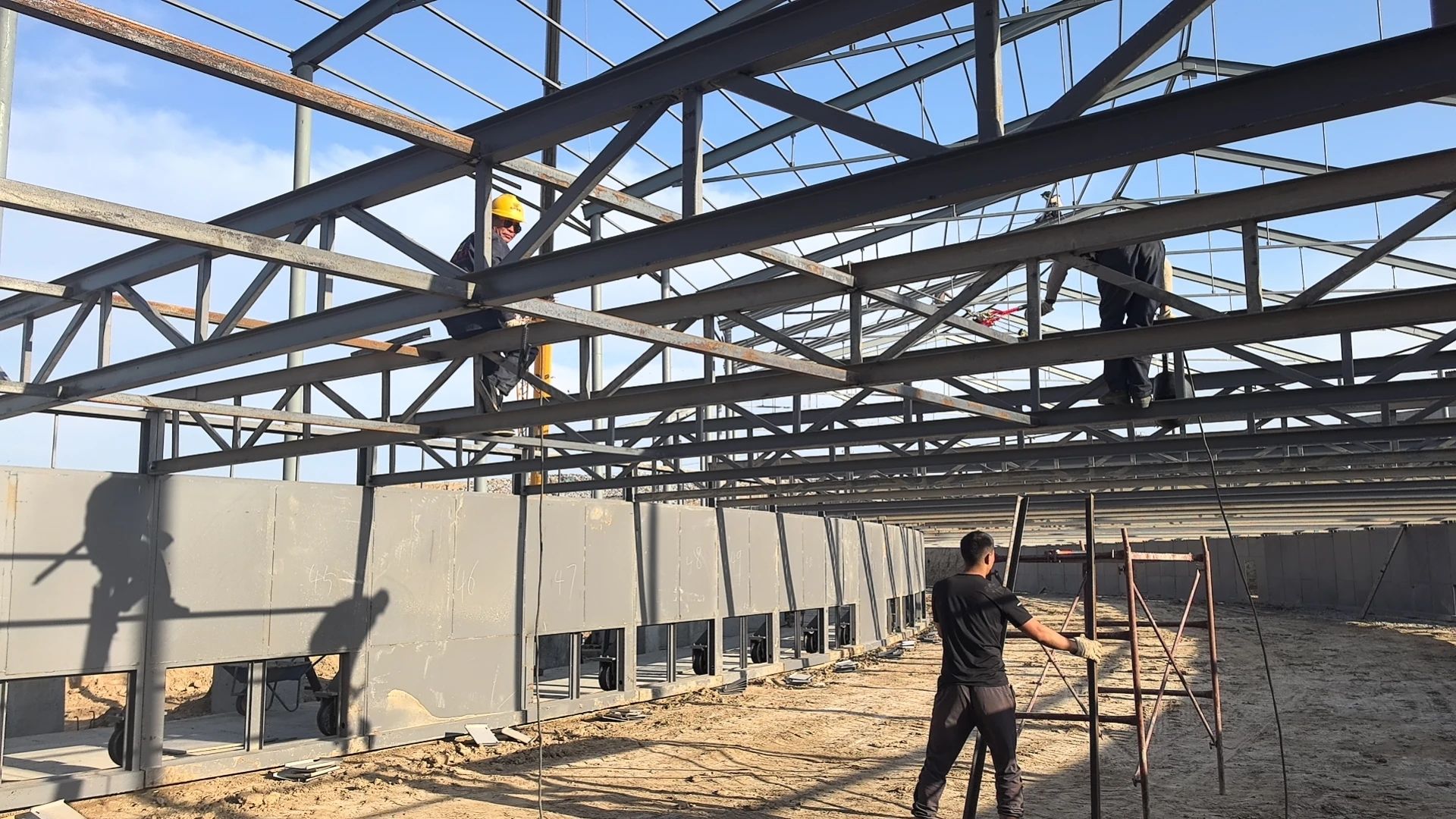 1731637771133097.jpg 004.jpg